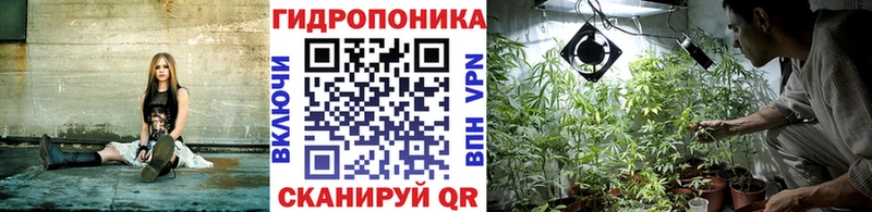 Бошки марихуана марихуана  Купить где  Белорецк 